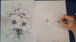 Урок 7! Как рисовать цветы карандашом!