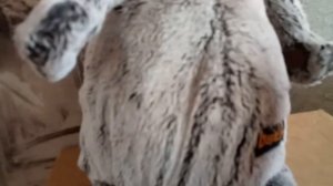 Какие вещи надо взять для басика в поездку.Что Вася взял собой