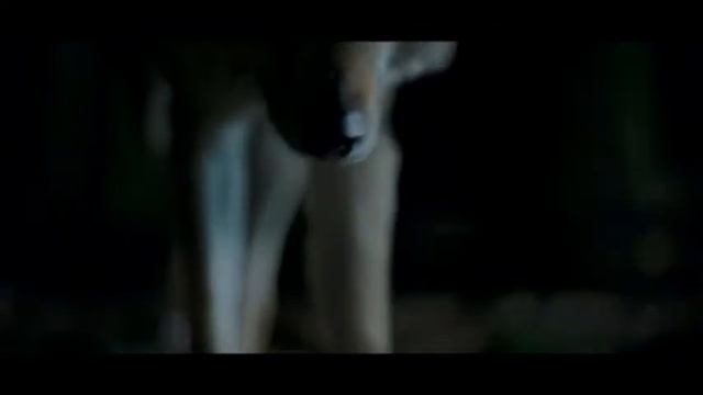 Panheads Band. Коматоз