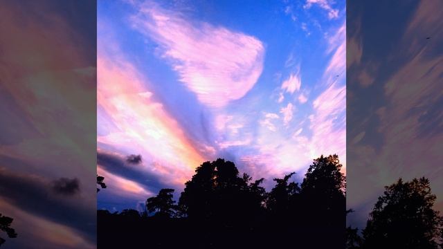 Дом я родной покинул смотреть онлайн