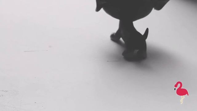 LPS сериал: От заката до рассвета (1 серия) смотреть онлайн