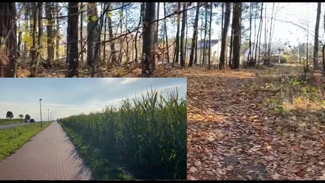 ЖИЗНЬ В ДЕРЕВНЕ В ПОЛЬШЕ СЕГОДНЯ. Расскажу о себе, где ? смотреть онлайн