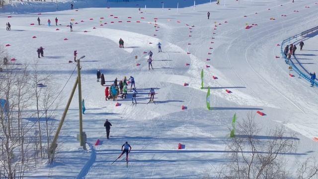 V апатитский лыжный марафон по программе кубка лыжных марафонов Russialoppet