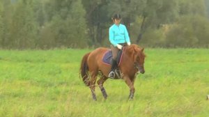 Верховая езда. Конный спорт.