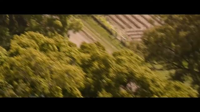 Бегущие за волной смотреть онлайн