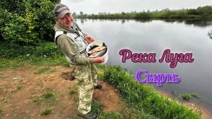 Сырть на реке Луга в конце Мая и наша первая рыбалка. Остались очень довольны, рыба нас дождалась.