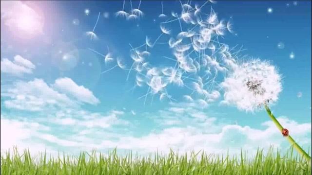 13. ДУЕТ, ДУЕТ ВЕТЕРОК...