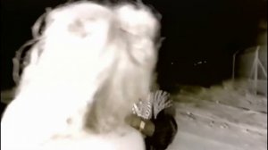 Клип на песню Chris Rea - "Sweet summer day"