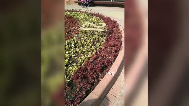 Гродно смотреть онлайн