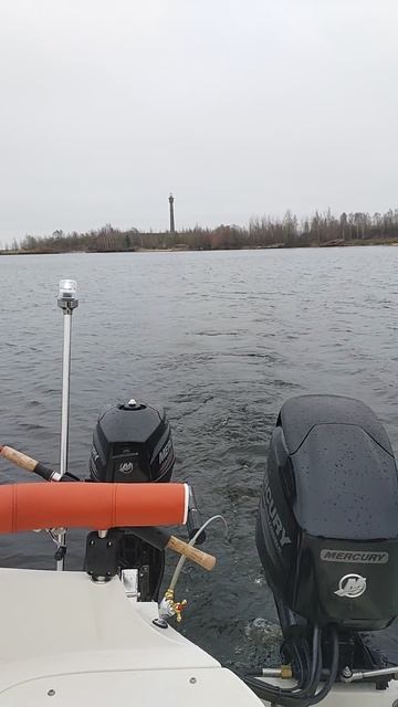 VID_20241108_152215 смотреть онлайн