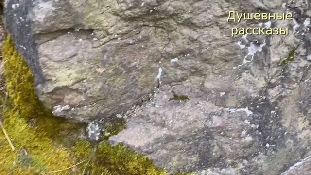 Свекровь решила на мои деньги, которые я получила в на?