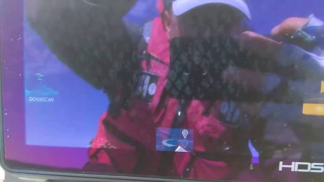 Lowrance HDS Live проблемы с нижним сканированием (bugs Lowrance Downscan)