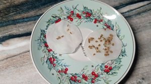 🍅Сеем помидоры на рассаду🍅Рассада помидоров в квартире🍅Огород на подоконнике🍎