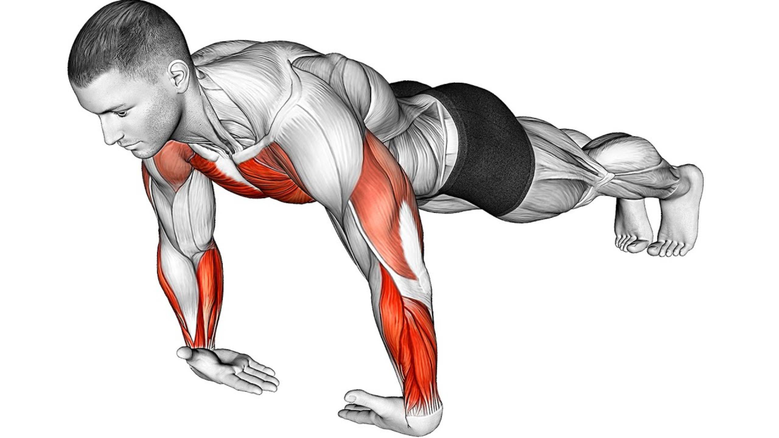 Лучшая Тренировка по Калистенике для всего тела смотреть онлайн