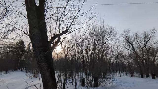 Свекровь решила сдавать мою квартиру без моего разреш смотреть онлайн