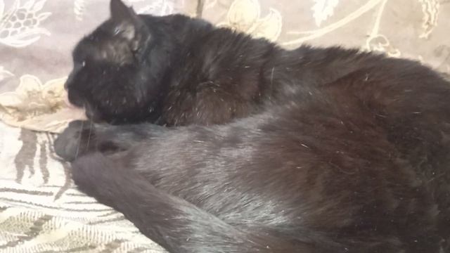 ДОБРОЕ УТРО ДОРОГИЕ МОИ ДРУЗЬЯ смотреть онлайн