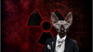 Эпопея с эстонскими буями, психические режиссеры и другое⧸Кот Костян