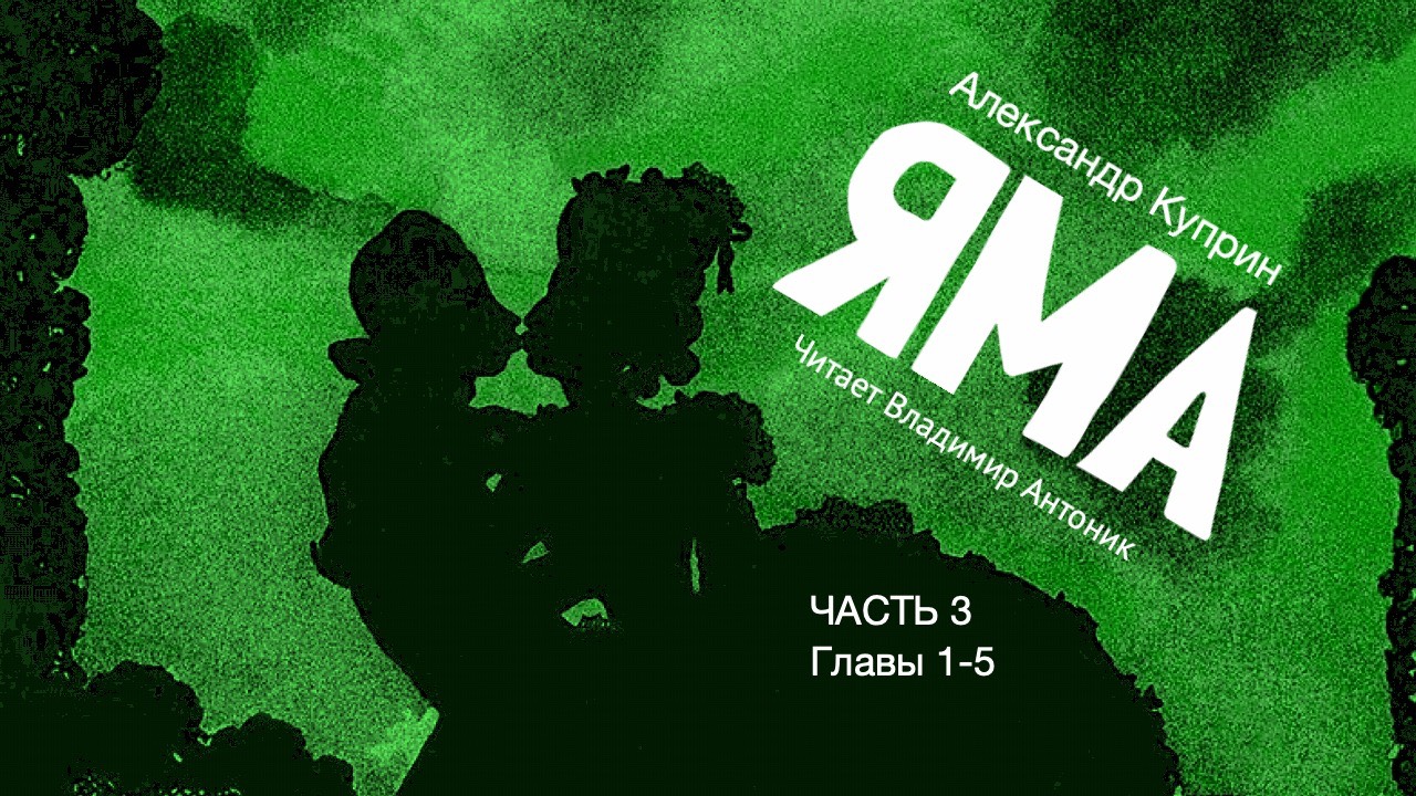 «Яма». А.И. Куприн. 18+. Часть 3. Главы 1-5. Аудиокнига. Читает Владимир Антоник.