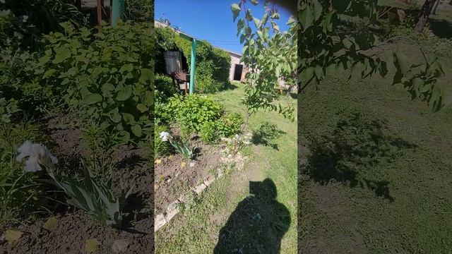 май 25 год двор смотреть онлайн