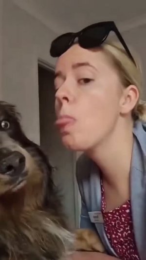 Реакция вашей собаки, когда вы ее внезапно целуете