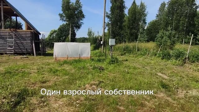 Земельный участок 10 сот. в д. Старое Домозерово смотреть онлайн