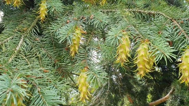 Новый день / Лена LIFE / Зачем она делает то, что ей так не