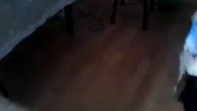 Приключения свиньи,часть 2 смотреть онлайн