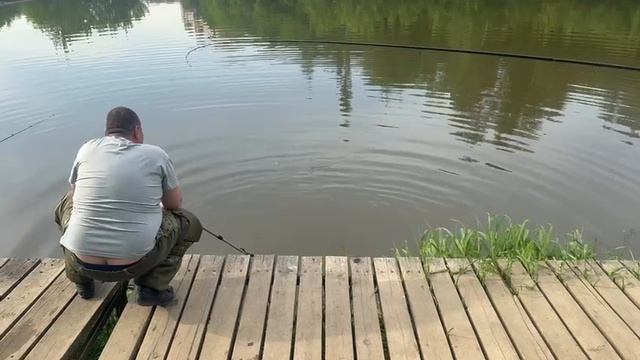 Карп клюет смотреть онлайн