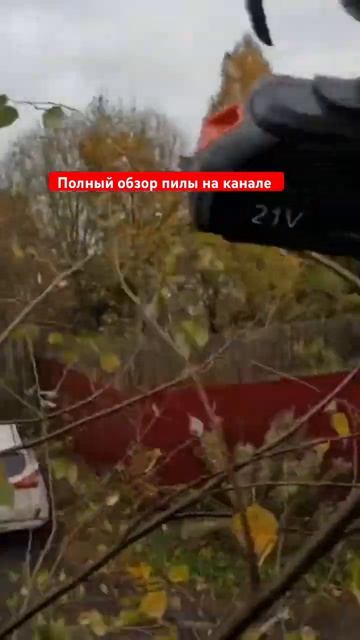 Обзор аккумуляторной мини пилы #обзор #электропила #да смотреть онлайн