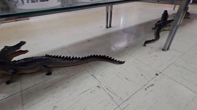 такое каждый день не увидишь, но это жизнь и природа // ? смотреть онлайн