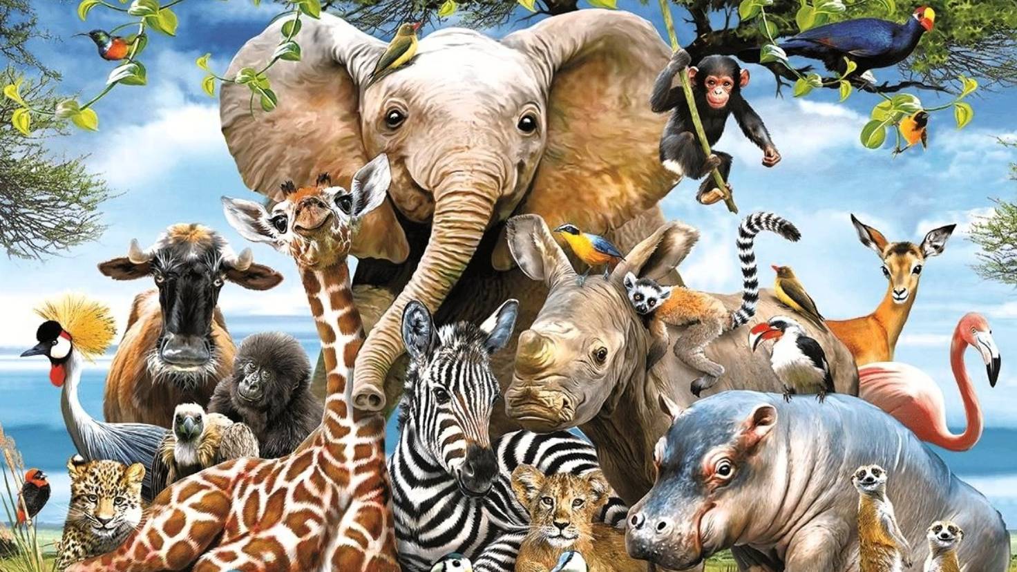 ТОП - 10 самых удивительных животных нашей планеты смотреть онлайн