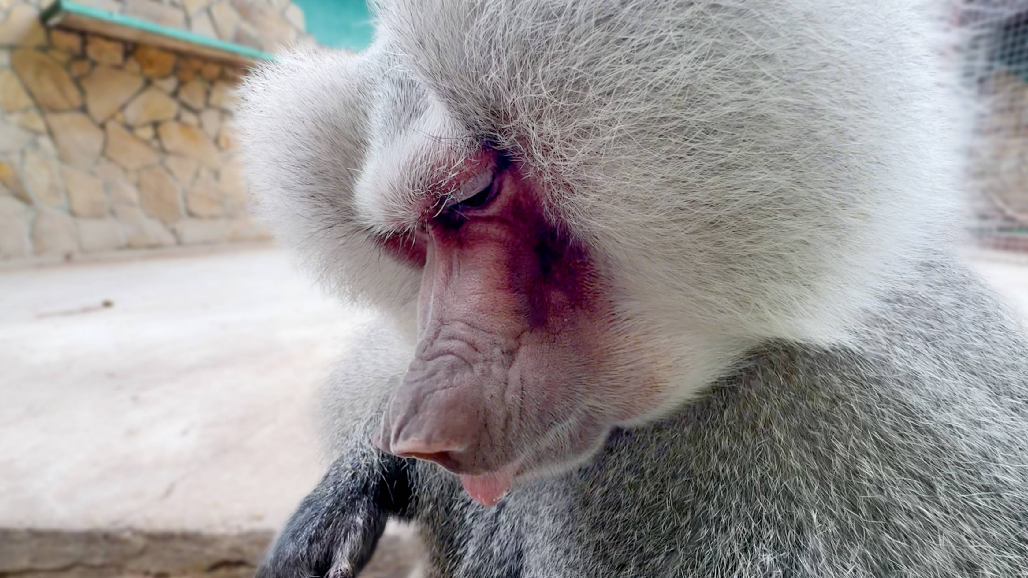 Елисею достаются после Лиды только крошки - лучший огурец это булка! Ритка теряет свой статус? смотреть онлайн