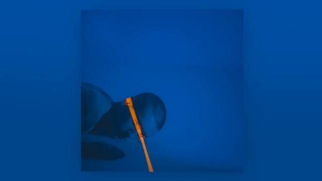 ROBY - Королева мечты