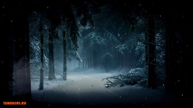 Blizzard / Метель