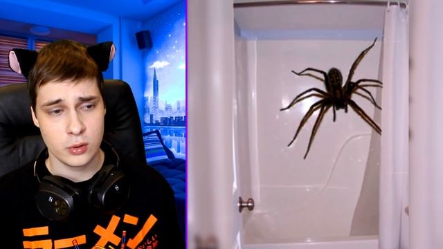 САМЫЕ СТРАШНЫЕ В МИРЕ ВИДЕО ТОП! НЕ ИСПУГАЙСЯ ЧЕЛЛЕНДЖ! ПОСТАРАЙСЯ НЕ СКАЗАТЬ ВАУ ЧЕЛЛЕНДЖ - Реакци смотреть онлайн