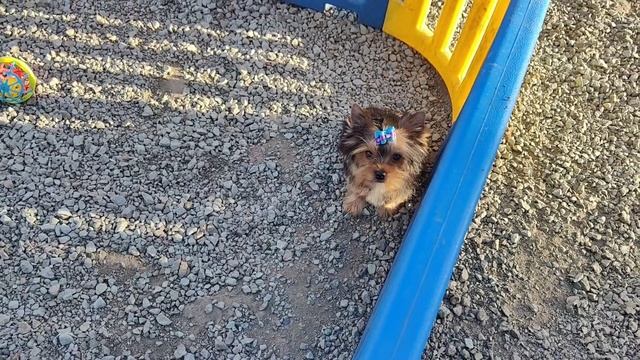 1000074712.mp4 смотреть онлайн