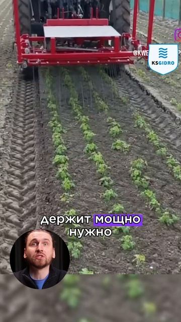 иначе будет весело смотреть онлайн