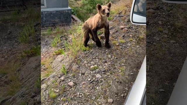 Iturup Island. Итуруп. 択捉島 смотреть онлайн