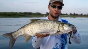 10 ХИЩНЫХ РЫБ РОССИИ: Кого можно поймать в наших реках? Полный гид с фото и советами!