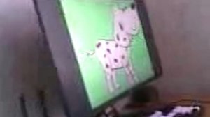 Видео255 Ржу с щенка Бонны из ЖБЦ