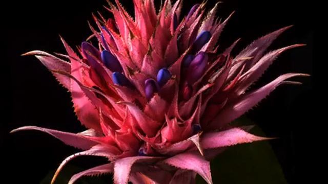 Слушать лучшую песню и видео 2015 смотреть онлайн