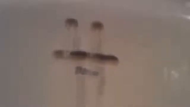 Сборник приколов и неудач смотреть онлайн