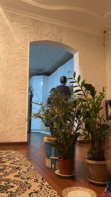 Пересадка #цветов в #домащних условиях #цветы🌺🌸#пере