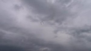 Стрижи.Косая петля со взлёта