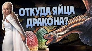 Как Размножаются Драконы  Игра Престолов Теория🐲