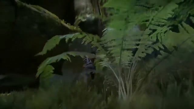Прохождение Uncharted:The Lost Legacy - (Без комментариев) [720p 60FPS] — Часть 7 : Ритуал очищения смотреть онлайн