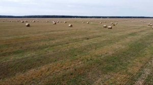 БПЛА - В полёте над полем.