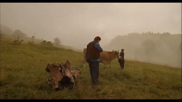 Фильмы Кустурицы смотреть онлайн