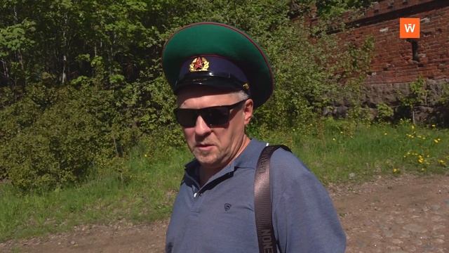 Программа «Город. Новости по-выборгски» от 29 мая 2025 года смотреть онлайн