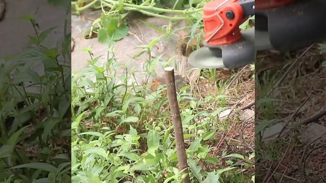 Не боится воды